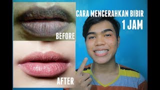 TIPS MENCERAHKAN BIBIR YANG GELAP DENGAN CEPAT  DALAM 1 MALAM  RAHUL EFENDY [upl. by Leanor]