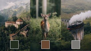 FREE DNG Preset  How to Get The Soft Faded Look like michaelkagerer Lightroom Wildlife Editing [upl. by Inoue]