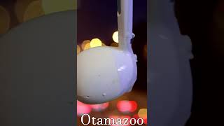 Blinding Lights 🌟  Otamatone amp Kazoo Cover  The Weeknd [upl. by Peisch185]