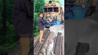 Funny 🚆Train Vfx Video shorts viralvideo funnytrain train vfx vfxshorts vfxviralvideo [upl. by Atrahc]