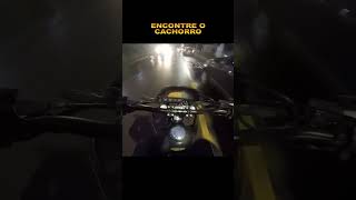 ENCONTRE O CACHORRO shorts motovlog tornado250 motard jefscwb jefs [upl. by Nnaik912]