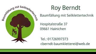 Roy Berndt  Baumfällung mit Seilklettertechnik [upl. by Im]