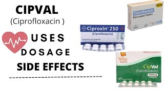 cipval 500 mg uses in urducipval ciprofloxacin ciprofloxacin 500mg uses Dosage and side effects [upl. by Grane]