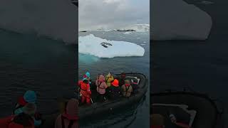 Amazing Leopard Seal Encounters Explore Antarcticas Wonders [upl. by Asek]