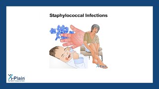 Staphylococcal Infections [upl. by Otnicaj]