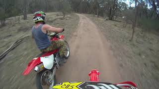 xr650 vs crf450x [upl. by Yeslaehc]