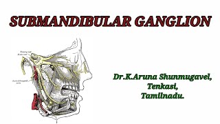 Submandibular ganglion  Roots  Branches  Development  Clinical Anatomy  Animated video [upl. by Ricarda]