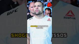 SHOGUN luta mma ufc esporte boxe shortsfeed foryou brasil sports shorts world [upl. by Esikram]