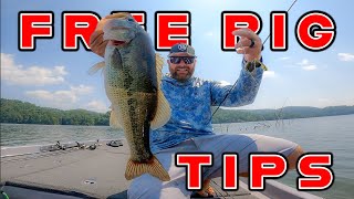 Best Baits To quotFree Rigquot For Spring Bass [upl. by Asylem]