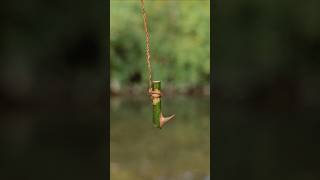 Making survival fishing line and hook with natural materials [upl. by Elodia]