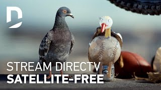 DIRECTV  For The Birds  Girlfriend 30 [upl. by Stav861]