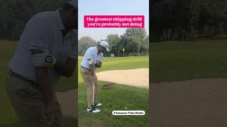 Best drill for chipping golfholics trending golfy golfaround trendingshorts reels ⛳️ [upl. by Allix]