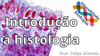 Introdução à histologia  Prof Felipe [upl. by Boser]