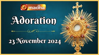 🔴 LIVE 23 November 2024 Adoration 1100 AM  Madha TV [upl. by Hennebery642]