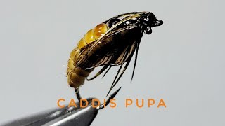 The Ultimate October Caddis Pupa Fly Tying Tutorial [upl. by Soilisav]