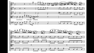 Antonio Vivaldi  Sovente il sole  The Shanghai Camerata and Meili Li  score animation [upl. by Llerrem]