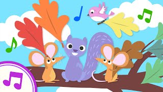 Why Do Leaves Change Color  Original Kids Song from Treetop Family [upl. by Eeryt]