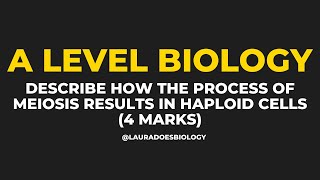 Guaranteed 4 Mark Meiosis Practice Question  A Level Biology [upl. by Allerus]