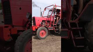 MTZ 50 VS MTZ 50 [upl. by Cameron]