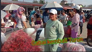 20 Maret 2024 Info Harga Cabai tomat kol kentang Pajak Tigapanah amp Pajak Roga Berastagi [upl. by Tildy]