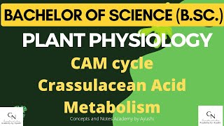 CAM cycle  Crassulacean Acid Metabolism  Academy by Ayushi  Concepts amp Notes For BSc students [upl. by Letreece357]