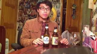 Battle Beers Witbier Edition  Hoegaarden vs Allagash White  Ep 84 [upl. by Beka258]