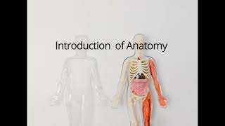 Introduction to Human Anatomy  Coronal Frontal Plane  Sagittal Axis  Coronal Plane Part 1 [upl. by Avevoneg]