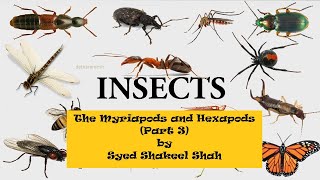 THE HEXAPODS AND MYRIAPODS Insects Part 2 I Invertebrate Diversity I Miller and Harley Chapter 15 [upl. by Magena]