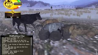 WolfQuest pack part2 Multiplayer Its Snowing D [upl. by Nylireg]