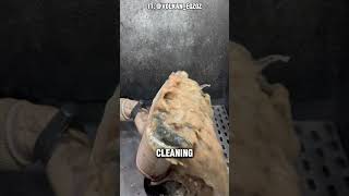 Cleaning Exhaust Filter shorts [upl. by Oiramaj]