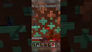 Baal baal bacha 🥲minecraft shortsfeed [upl. by Fremont]