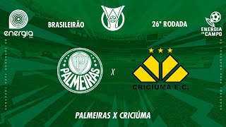 PALMEIRAS X CRICIUMA  15092024  BRASILEIRÃO  AO VIVO [upl. by Rehpatsirhc]