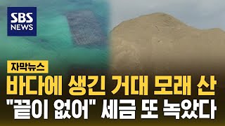 바다에 생긴 거대 모래 산…quot끝이 없어quot 세금 또 녹았다 자막뉴스  SBS [upl. by Eanod]