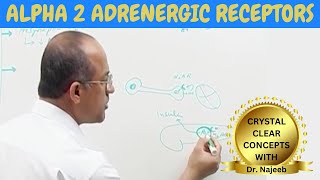 Adrenergic receptors  Alpha 2  Pharmacology🩺 [upl. by Kilah41]