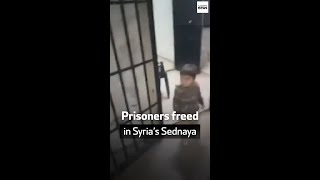 Prisoners freed in Syria’s Sednaya [upl. by Haisej144]