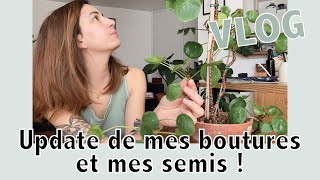 Mes plantes sont en pleine croissance   Vlog  Vertbobo [upl. by Eibob612]