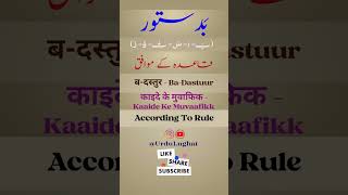 BaDastuuur Meaning  Urdu Dictionary [upl. by Acceber589]