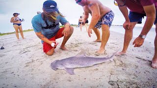 Tybee Island Shark Fishing Part 2 [upl. by Shafer931]