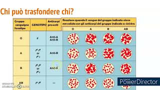 i gruppi sanguigni il sistema AB0 [upl. by Ikciv]