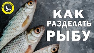 Как Профессионально почистить рыбу [upl. by Neirbo]