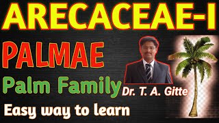 ARECACEAE FAMILY│Palmae Family│Palm Family│Arecaceae│Palmae│palmfamily│arecaceaefamilycharacter [upl. by Clintock]