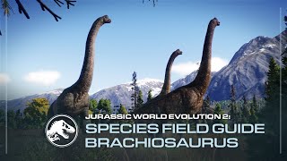 Species Field Guide  Brachiosaurus  Jurassic World Evolution 2 [upl. by Sanjay]