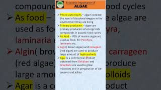 Economic Importance of Algae 235 marks shorts biology class 11 [upl. by Allveta]