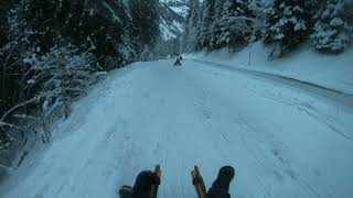 Sledging in Les Diablerets [upl. by Aiuqes207]