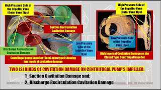 ALL ABOUT CAVITATION PUMP [upl. by Ravo]