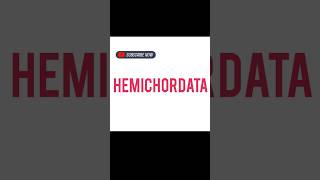 HEMICHORDATA [upl. by Yznyl]