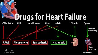 Pharmacology Drugs for Heart Failure Animation [upl. by Iorio]