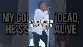 Gods Not Dead Like a Lion  Newsboys LIVE with lyrics 🦁 Worship Jesus ChristianMusic Shorts [upl. by Terrijo]