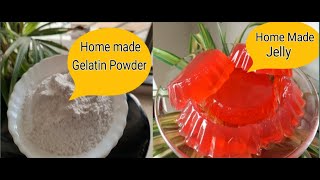 Homemade Gelatin Powder and its use  How to make Gelatin powder at home Homemade Jelly Gelatin [upl. by Acirret]