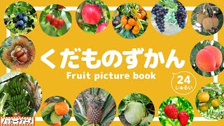 【くだもの図鑑】おいしそうな果物がずらり24種！知育アニメ【赤ちゃん・子供向け】Fruit picture book for kids [upl. by Attenat]